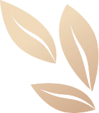 bg-image