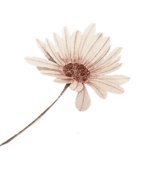 bg-image